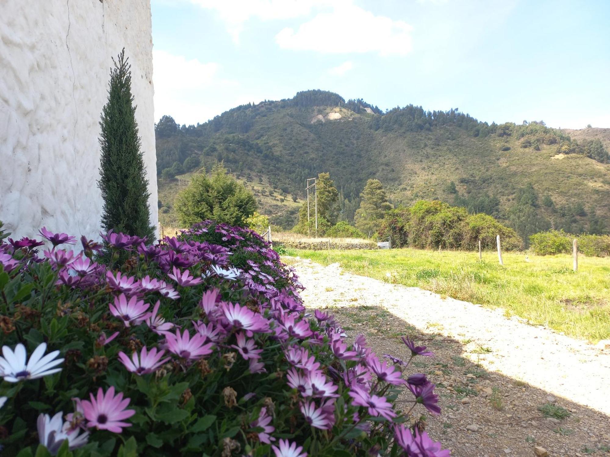 Hospedaje Y Camping Del Rio Mongui Luaran gambar