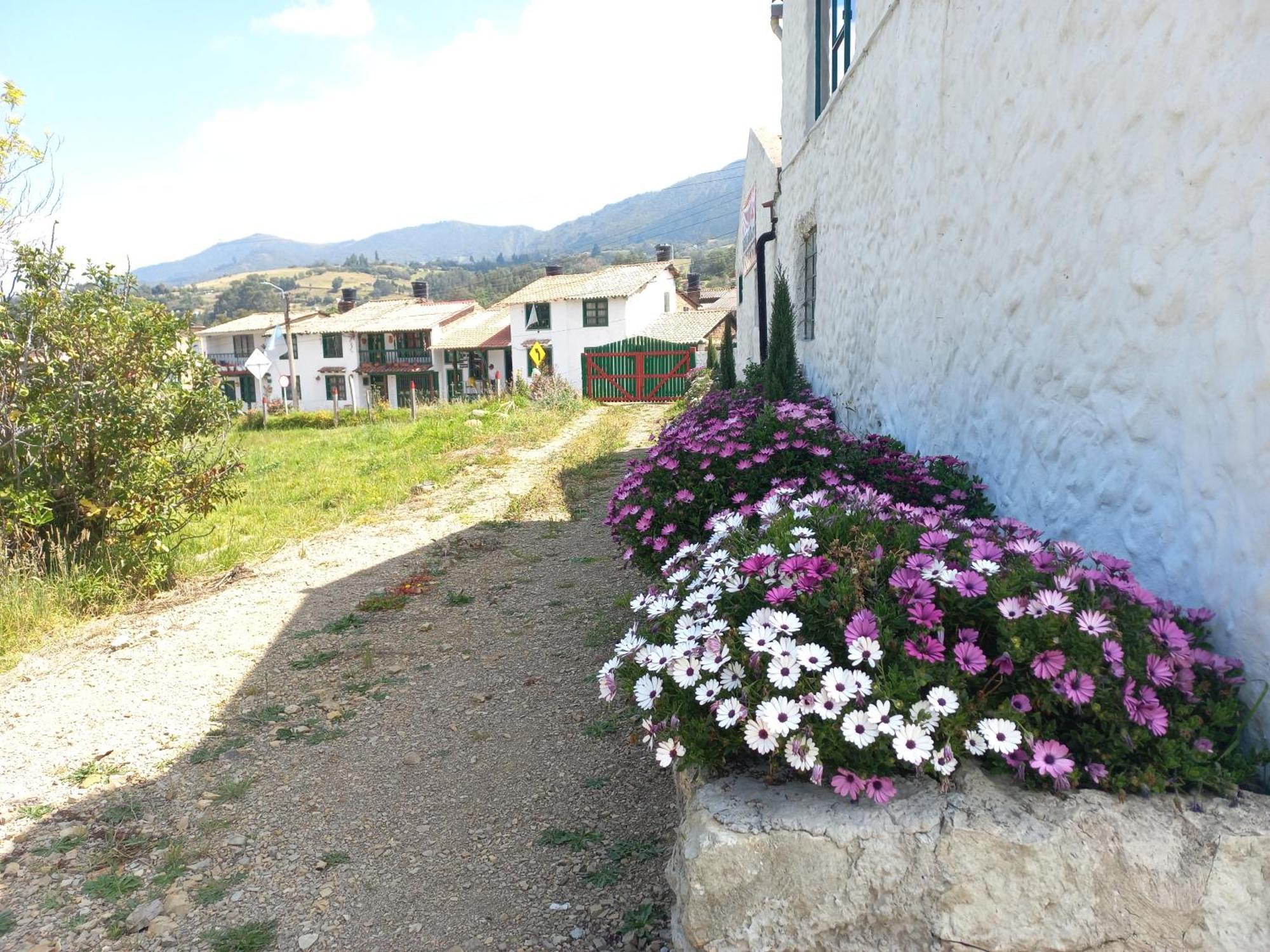 Hospedaje Y Camping Del Rio Mongui Luaran gambar
