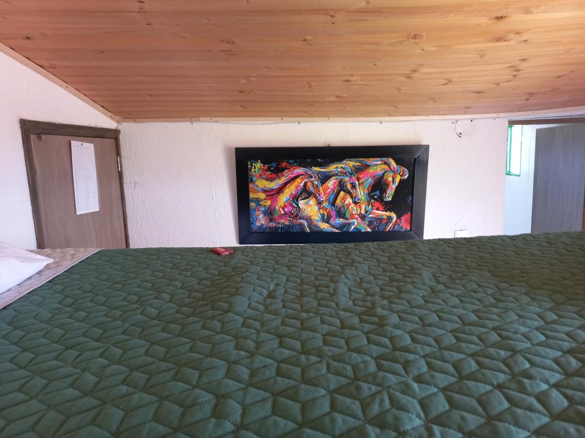 Hospedaje Y Camping Del Rio Mongui Luaran gambar