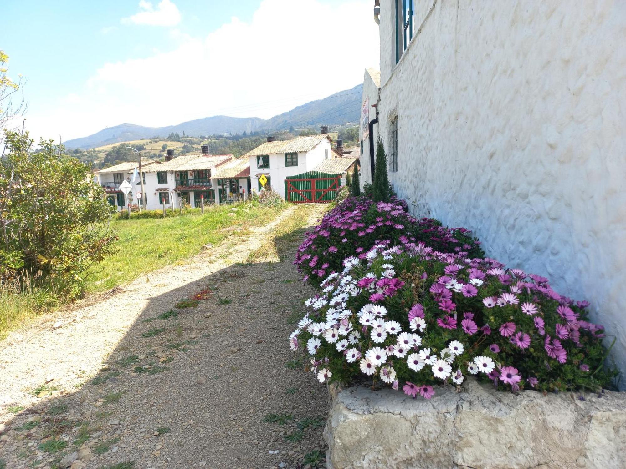 Hospedaje Y Camping Del Rio Mongui Luaran gambar